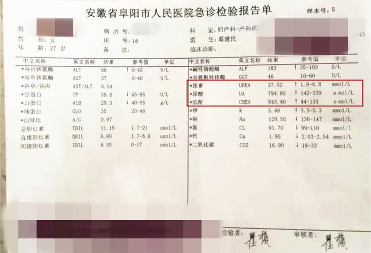 肌酐85与肾健康