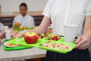 青少年饮食营养与健康心得体会