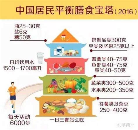 饮食健康相关资料