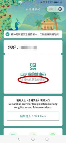 去云南使用什么健康码