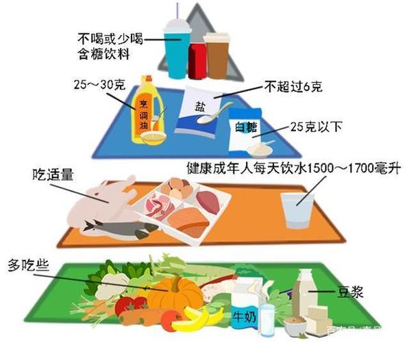 健康饮食知识体系包括