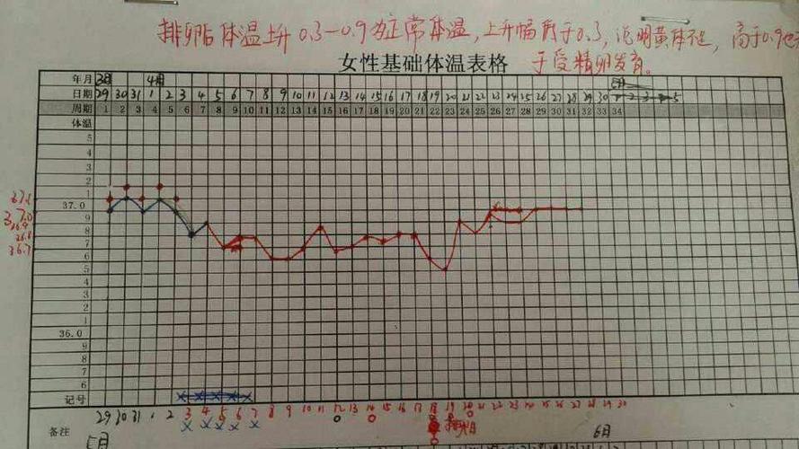 健康指数计算器