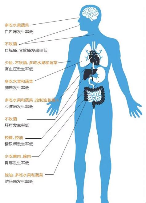 人的健康主要取决于什么因素