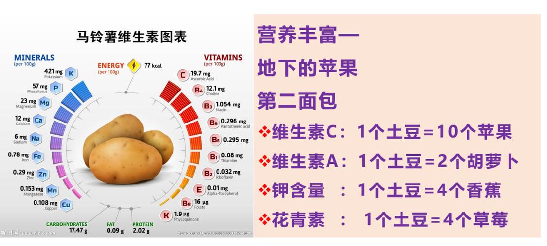 土豆的营养价值与食用功效百度百科