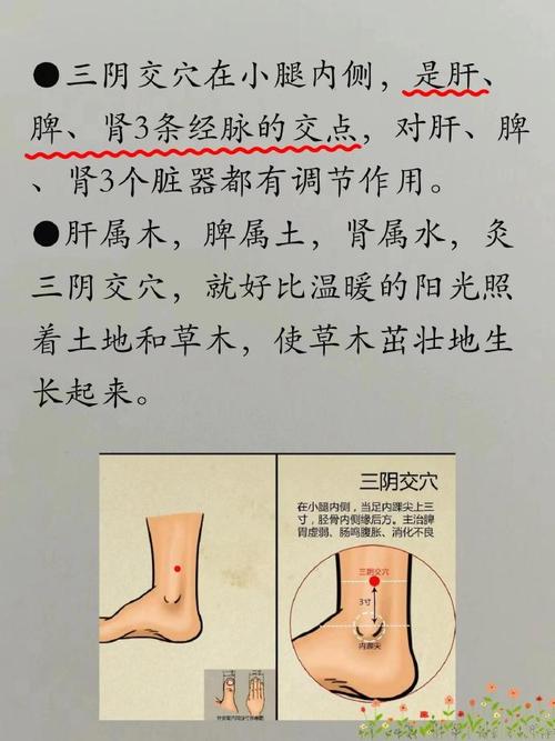 指点健康官网