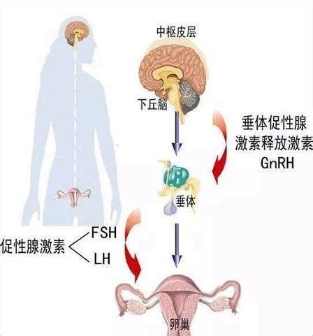 家里摆什么身体健康风水