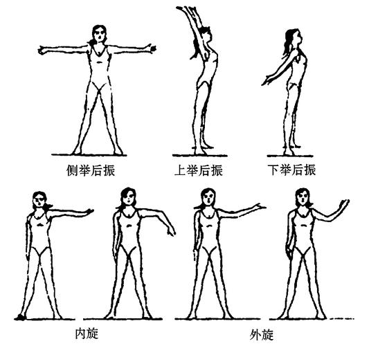 健身健美包括五个部分