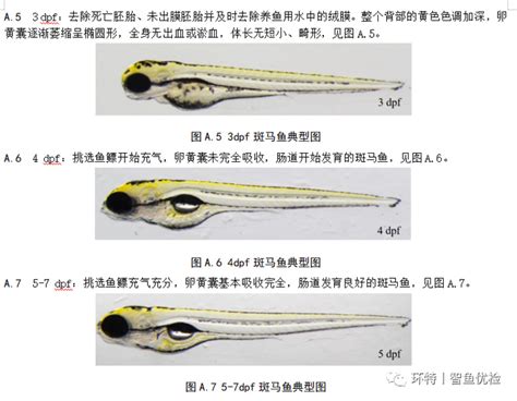 社区健康教育方法的运用实验报告