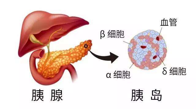 19岁美女全身溃烂皮肤一碰就掉,就因为吃了很常见的...小孩经常用