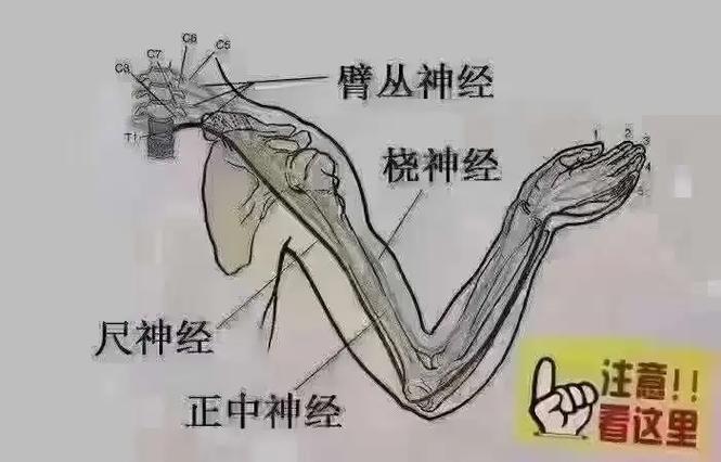 脑梗,手麻头晕走路不稳,主任辩证调理