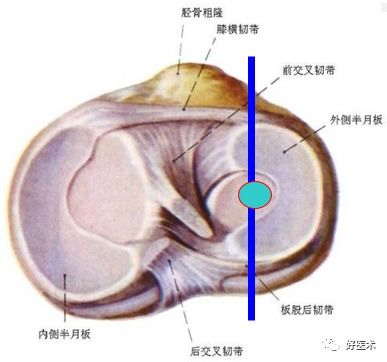 2024年3月12日己二酸二辛酯报价详情一览表