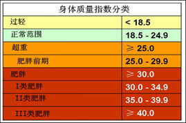 持之以恒科学策略下的体重管理持久战