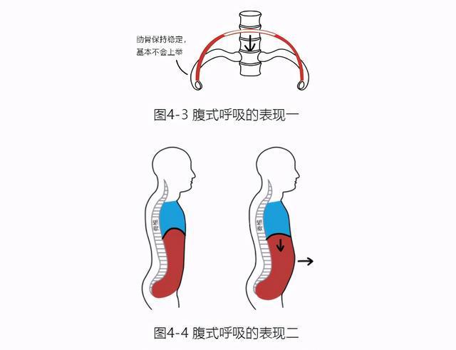 跑步不再累掌握高效呼吸技巧，让每一步更轻松