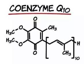 辅酶的奥秘揭秘生命之火的催化剂

年级高中二年级（生物学）

课程主要