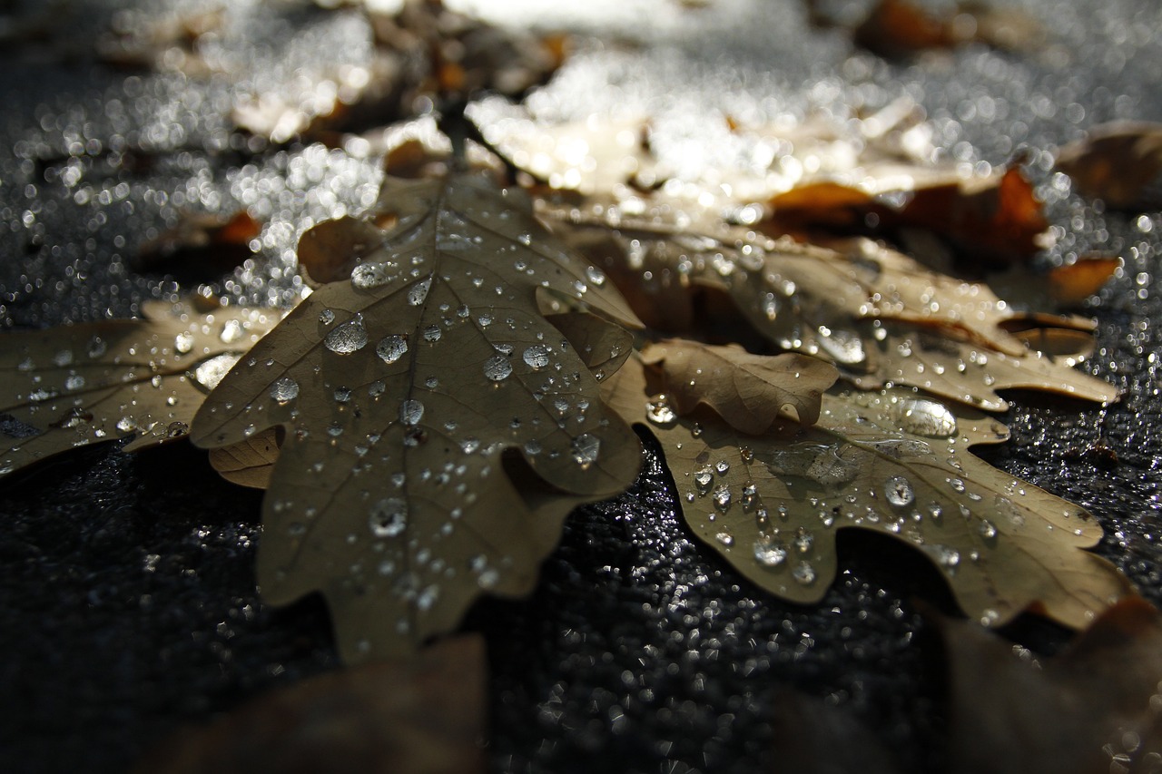 暴雪与超强台风齐至