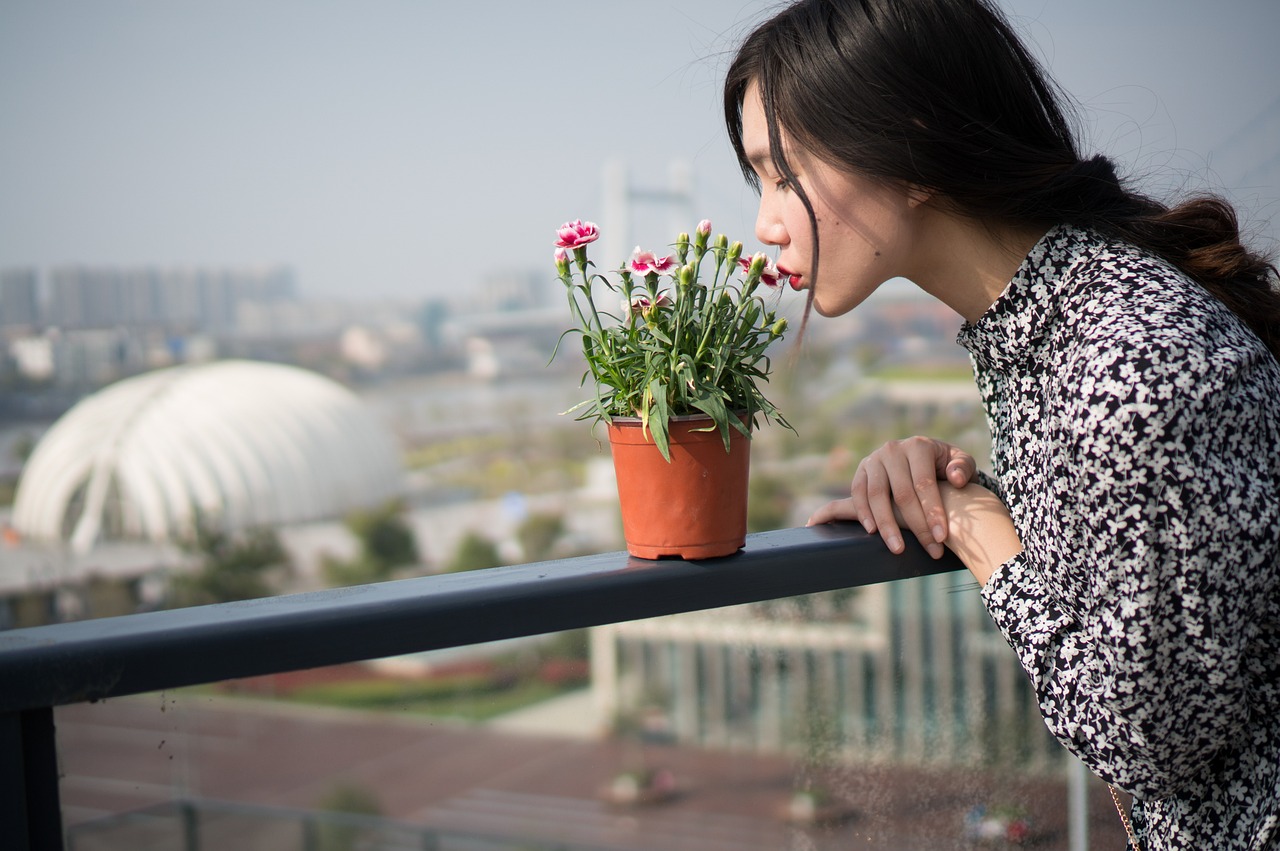 女子花800万托人炒股