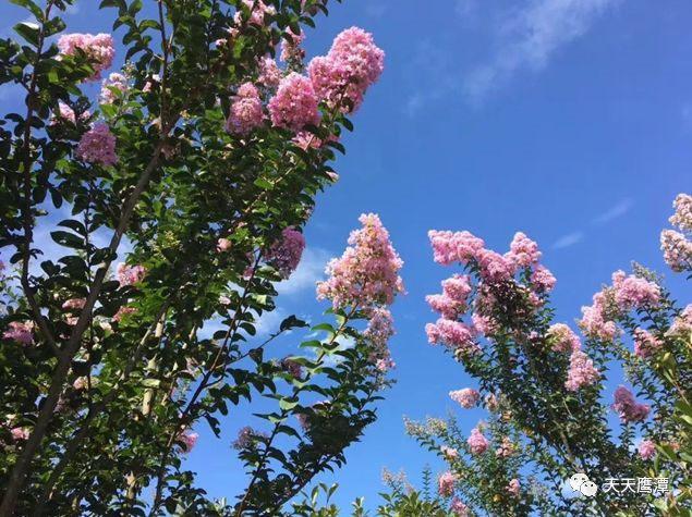 工业园区光伏停车场落地案例拆解:车位覆盖率与发电效率设计全攻略,轻松实现高效能源利用 工业园区光伏停车场落地案例拆解:车位覆盖率与发电效率设计全攻略,轻松实现高效能源利用