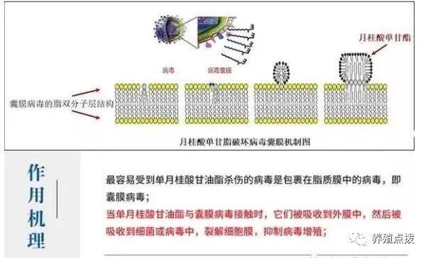 评估氢能电解槽膜材料技术:全氟磺酸树脂膜与非氟膜性能差异,提升效率与降低成本 评估氢能电解槽膜材料技术:全氟磺酸树脂膜与非氟膜性能差异,提升效率与降低成本