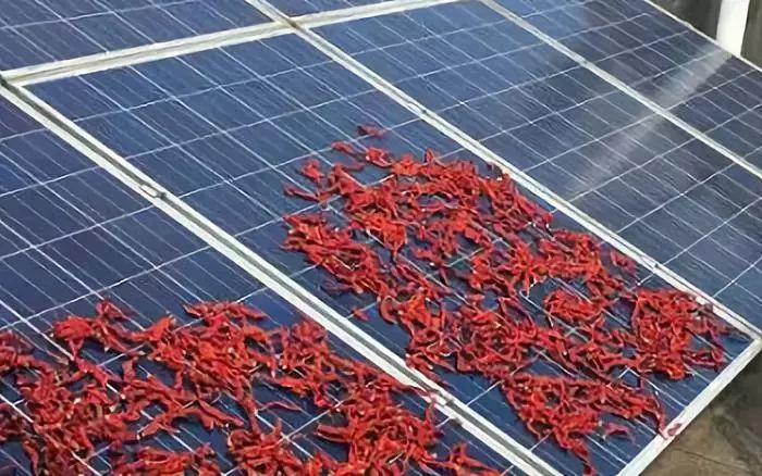 光伏电站电缆敷设技术分析:直埋与架空的成本对比及环境影响,助您轻松选择最佳方案 光伏电站电缆敷设技术分析:直埋与架空的成本对比及环境影响,助您轻松选择最佳方案